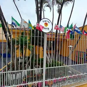 Tropical Mooca Albergue